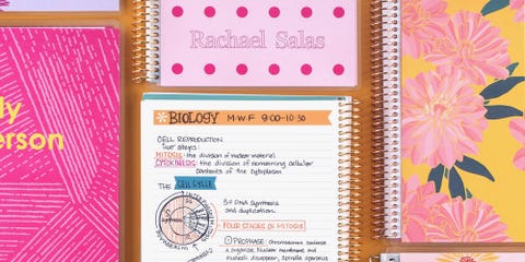 10 best daily planners for staying organized in 2019