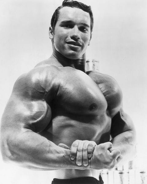 Arnold Schwarzenegger celebrity headshots