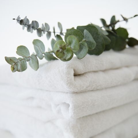 Studio Shot of folded towels and eucalyptus on top