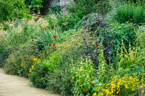 summer garden borders