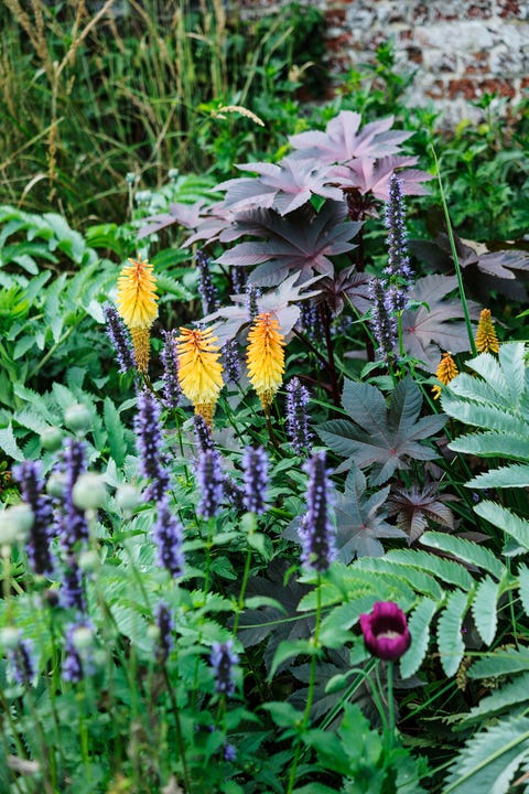 summer garden borders