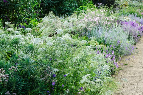 summer garden borders