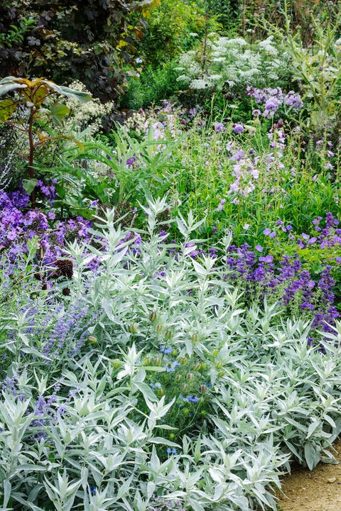 summer garden borders