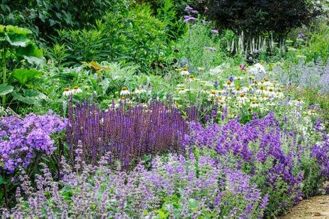 summer garden borders