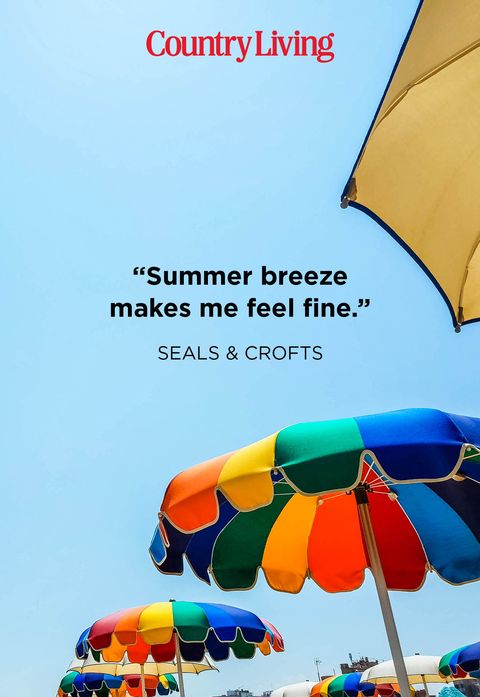 42 Best Summer Quotes Inspirational Warm Weather Sayings