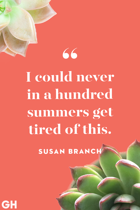 Summer Quotes Susan Branch