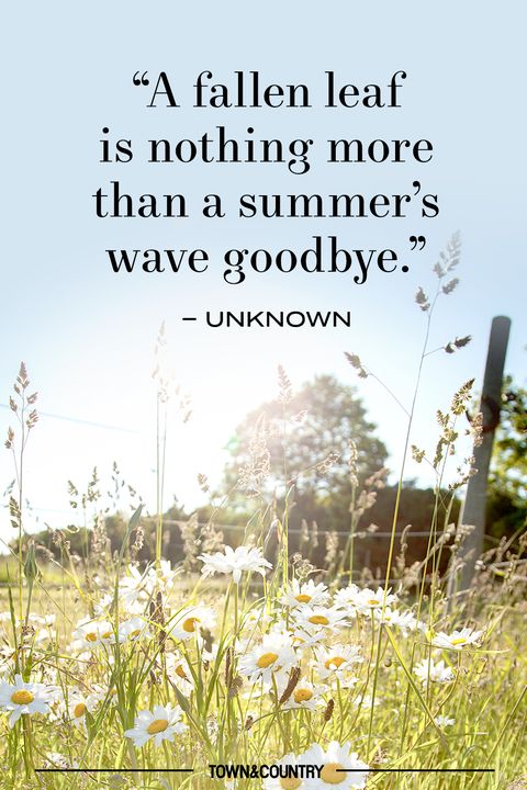 24 Best End Of Summer Quotes Beautiful Quotes About The Last Days Of Summer