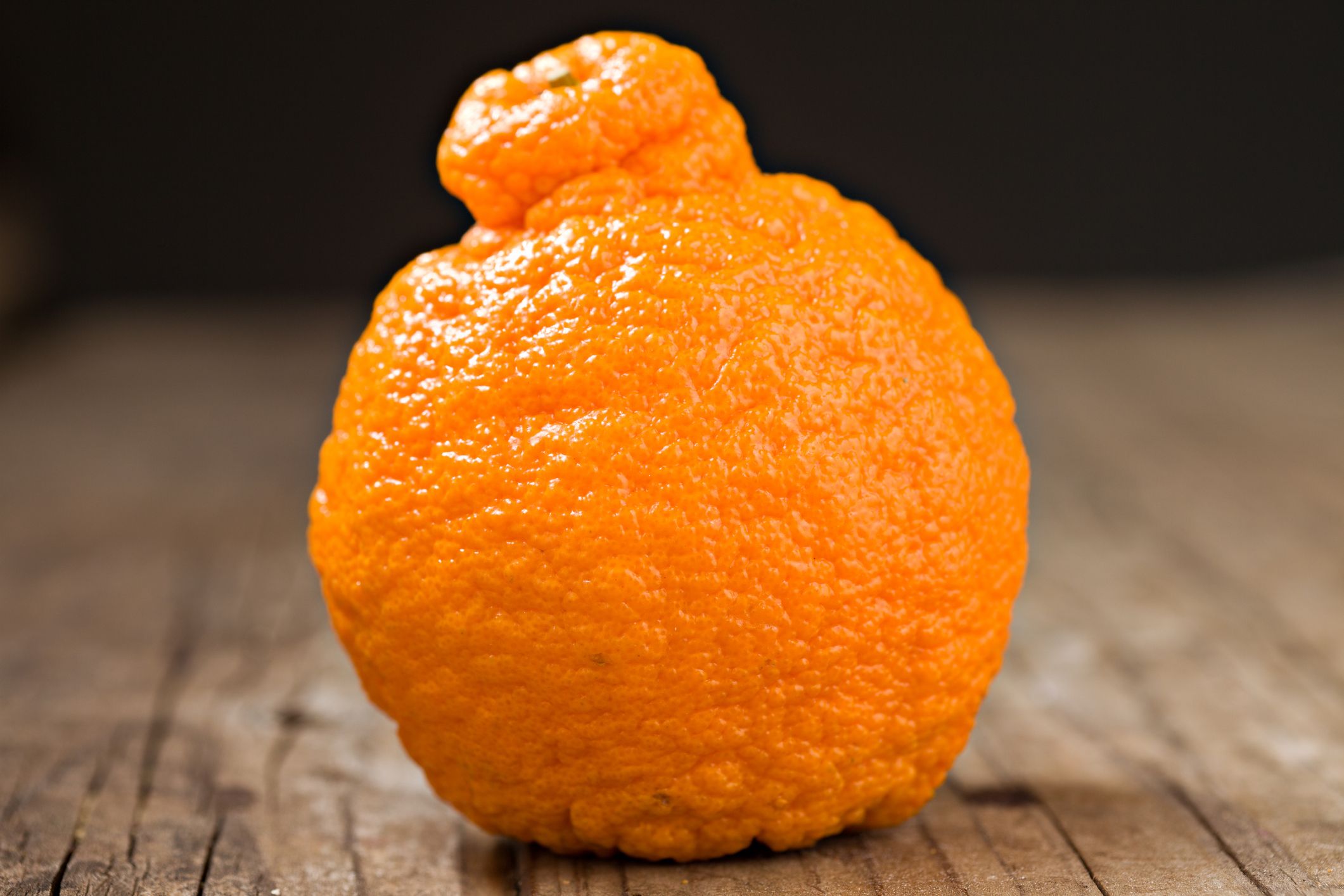 sumo tangerine
