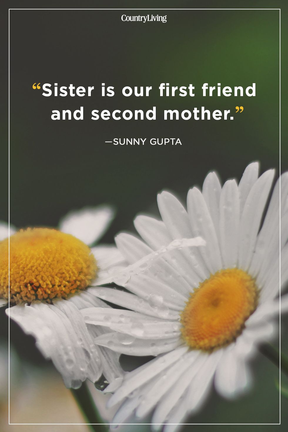 20 Best Sister Quotes Quotes About Sisters