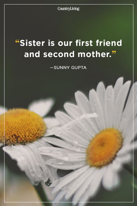 20 Best Sister Quotes - Quotes About Sisters