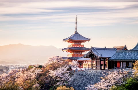 Sunset at Kiyomizu-dera Temple and cherry blossom season (Sakura) on spring time in Kyoto, Japan Sunset at Kiyomizu-dera Temple and cherry blossom season (Sakura) on spring time in Kyoto, Japan