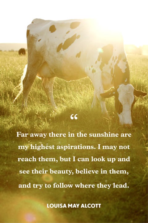 46 Greatest Sunshine Quotes - Everyday Inspiration About Sunshine