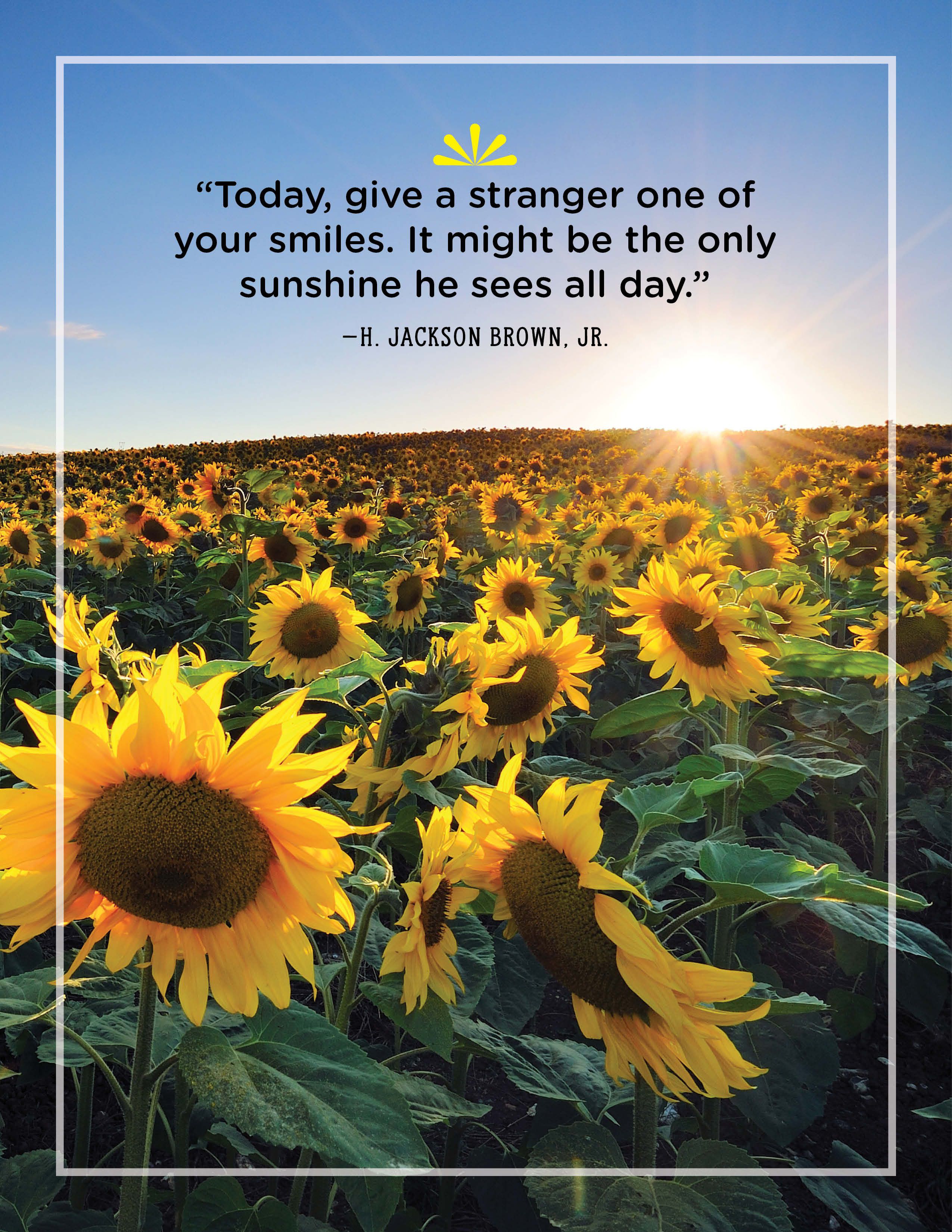 40 Best Sunshine Quotes Wise And Inspirational Sayings