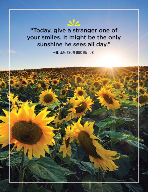 44 Greatest Sunshine Quotes Everyday Inspiration About Sunshine