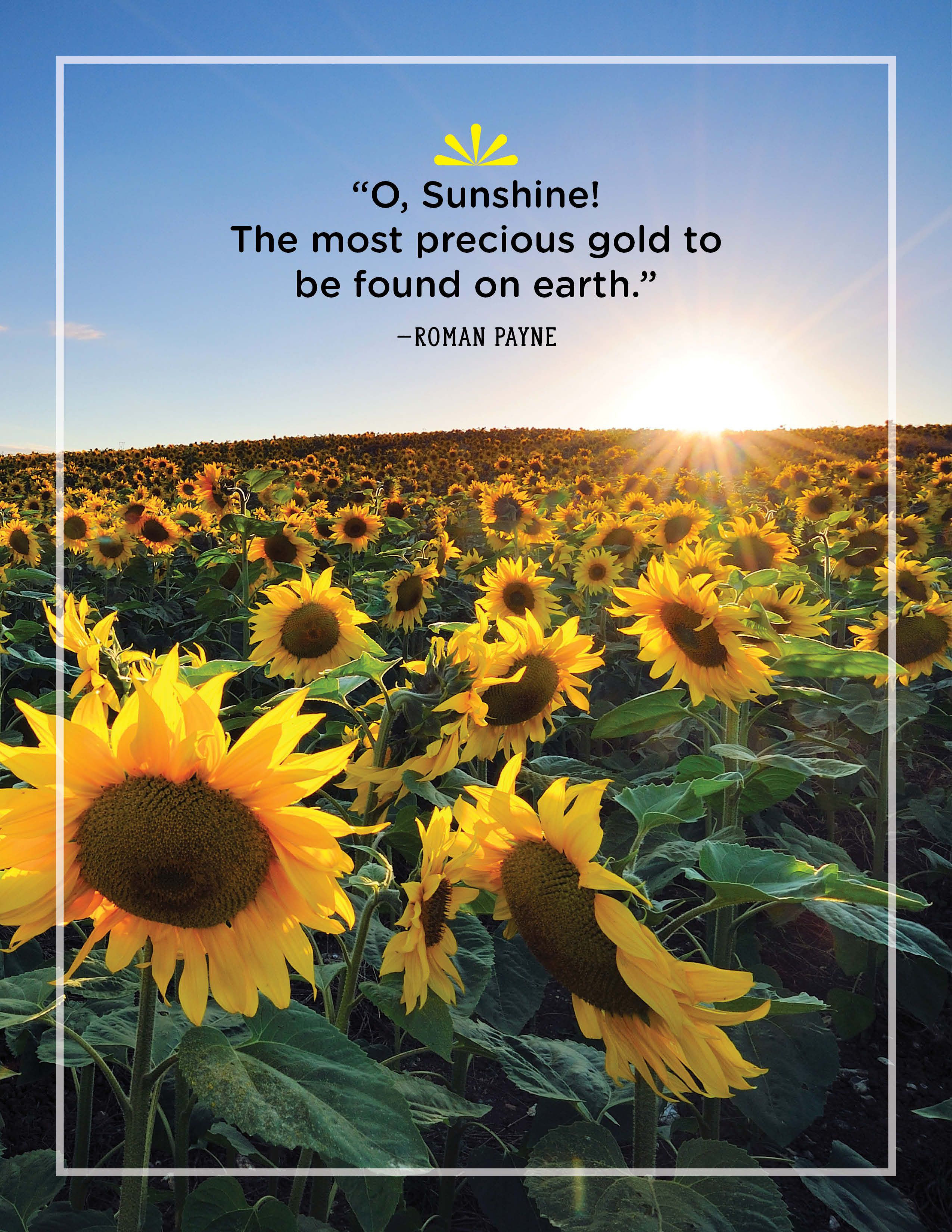 40 Best Sunshine Quotes Wise And Inspirational Sayings About Sunshine