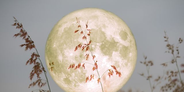 満月いつ 22年11月8日は ビーバームーン 満月 が皆既月食に 方角や時間をチェック