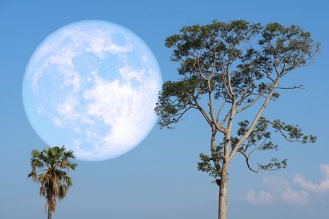 満月いつ 21年6月25日は満月 ストロベリームーン 最も美しく見える時間や方角は