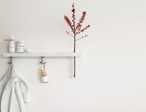 White, Wall, Shelf, Room, Twig, Branch, Plant, Flower, Furniture, Bathroom, 