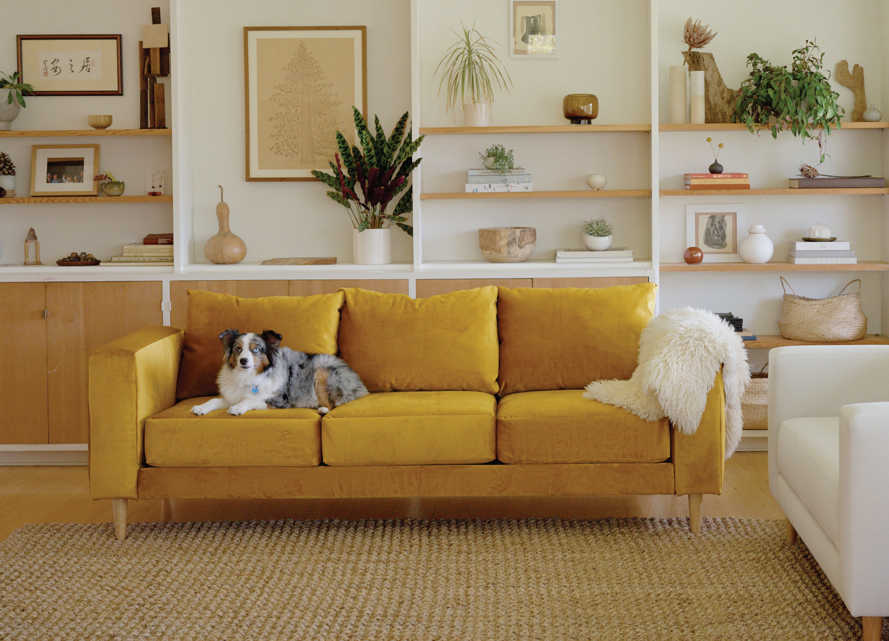 The 12 Best Sustainable Furniture Brands — Where To Buy Eco-Friendly ...