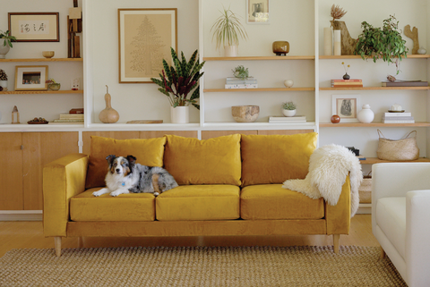 mustard colored couch