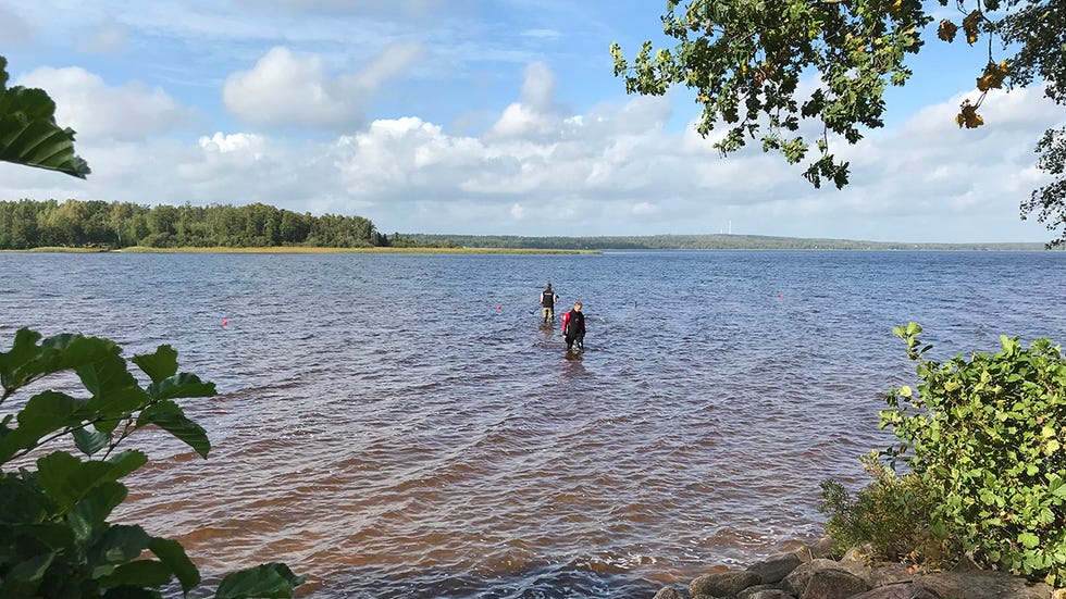 This 8-Year-Old Girl Pulled a 1,500-Year-Old Sword Out of a Lake in Sweden