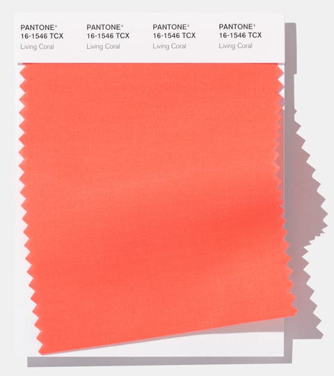 pic Pantone Living Coral Complementary Colors living coral is pantone s colour of the