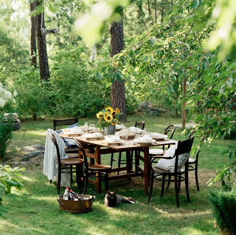 a table set for dinner outdoors