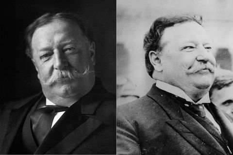 William Howard Taft - Presidents Before And After Serving In Office