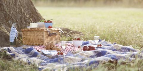 Picknickrecepten: en recepten voor ultieme picknick