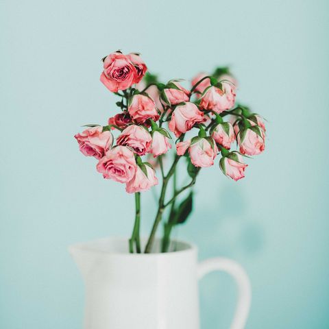 Flower, Pink, Cut flowers, Plant, Bouquet, Flowerpot, Still life photography, Plant stem, Flowering plant, Still life, 
