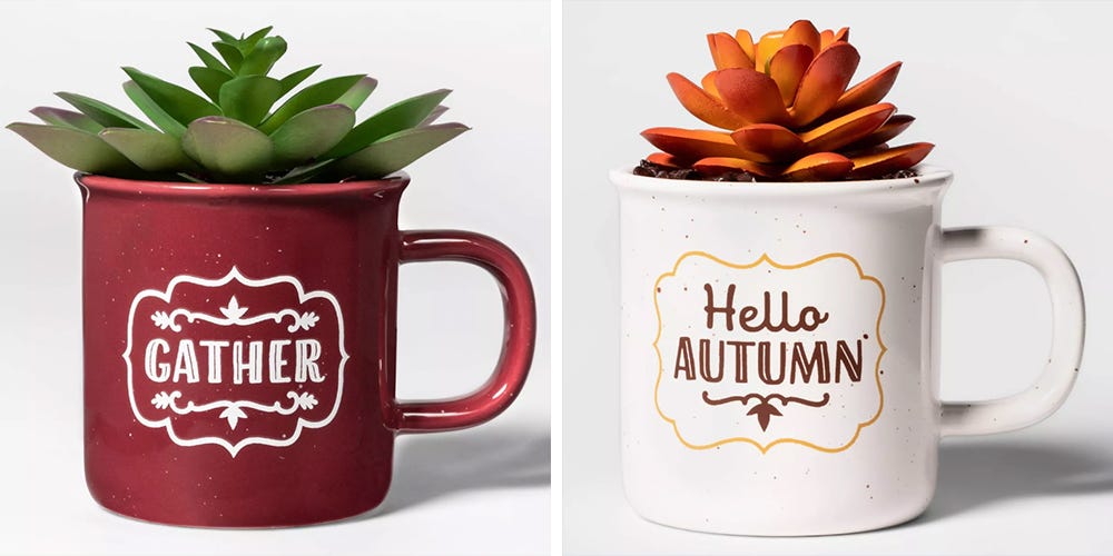 Target's New Thanksgiving Succulents Come In The Cutest Mugs