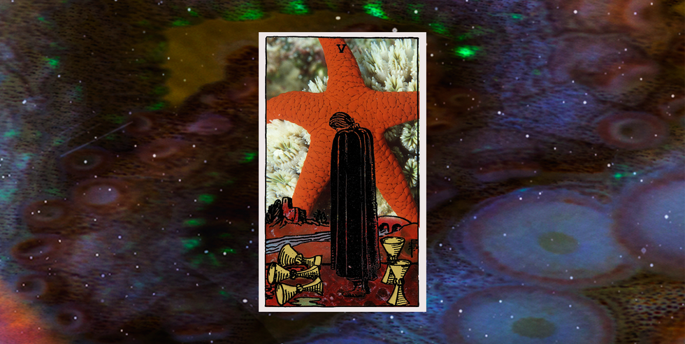 Let's Talk About the Five of Cups Tarot Card