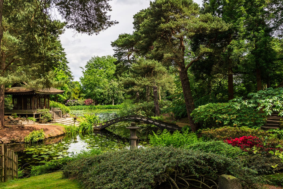 the-10-best-national-trust-gardens-for-a-scenic-day-out