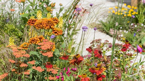 Tatton Park Flower Show: Dianne Oxberry Weather Garden Tribute