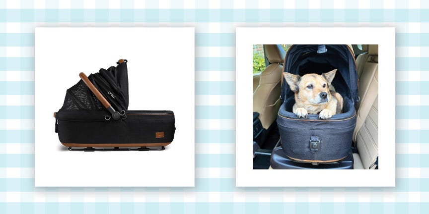 Is the Tavo Pet Carrier Worth It? Our Editor Put It to the Test