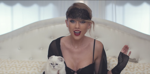 Taylor Swift gatos
