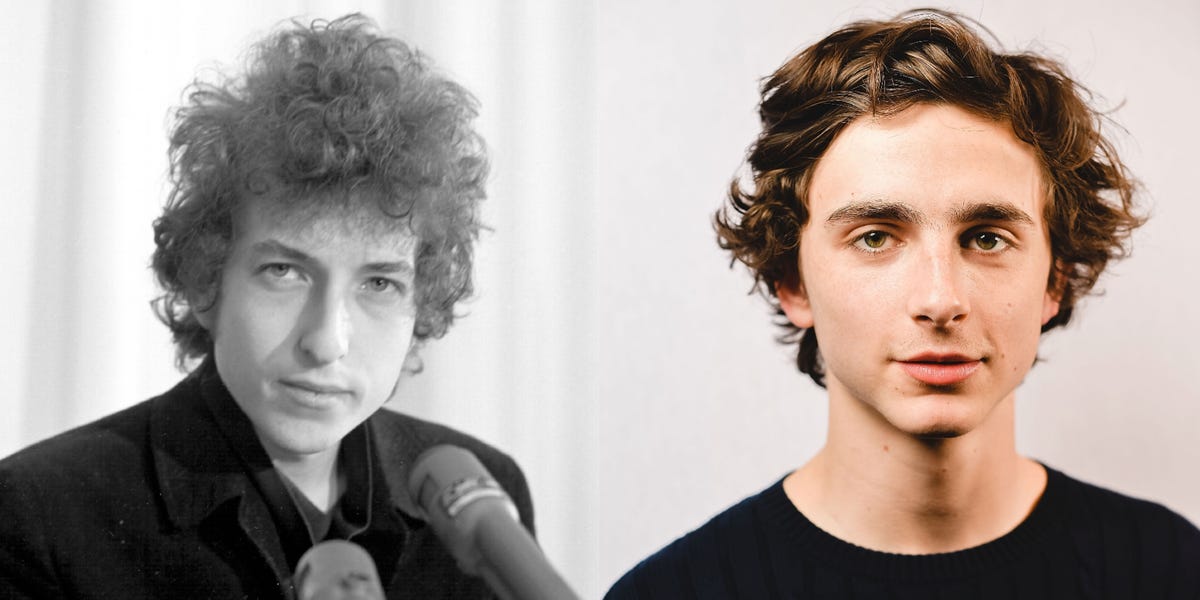 Timothée Chalamet to Play Bob Dylan - Timothee Chalamet Is the Perfect ...