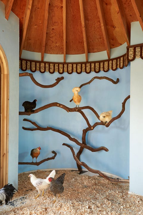 pietro cicognani chicken coop