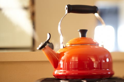 Tea Kettle Tea Kettle