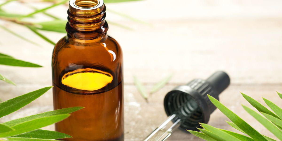 15 Genius Uses For Tea Tree Oil - Benefits For Skin and Hair