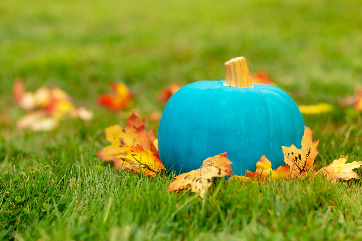 what-is-the-teal-pumpkin-project-teal-pumpkins-meaning-for-halloween