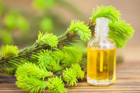 Tea Tree Oil Remedy