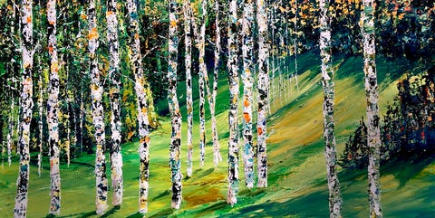 Tree, Canoe birch, Birch, Plant, Woody plant, American aspen, Grass, Birch family, Forest, Flower, Tree, Canoe birch, Birch, Plant, Woody plant, American aspen, Grass, Birch family, Forest, Flower,