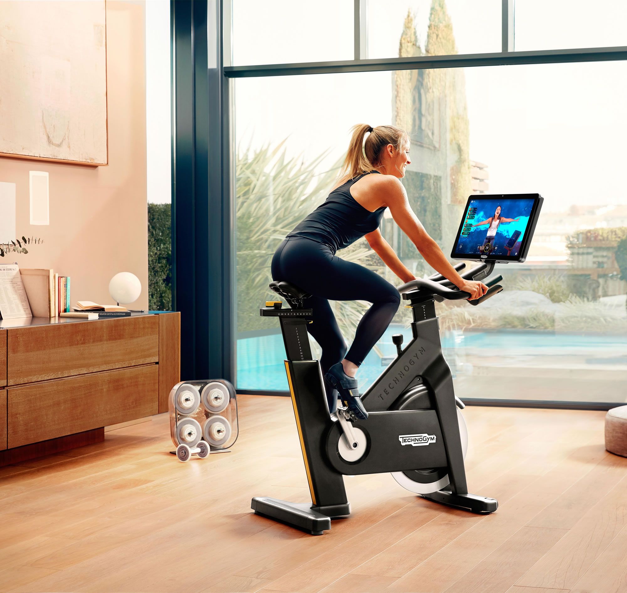 Sale > technogym bicicletas spinning > in stock