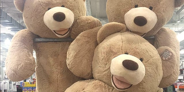 8ft costco teddy bear