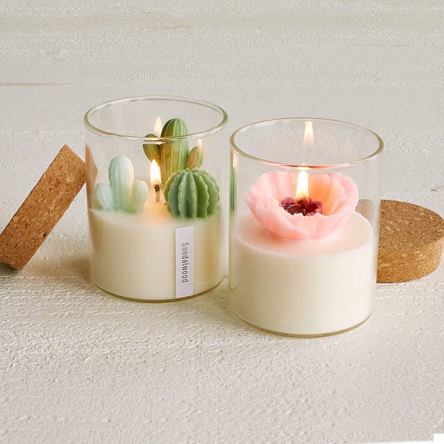 Scented Terrarium Candles Make a Perfect Gift for Plant Lovers