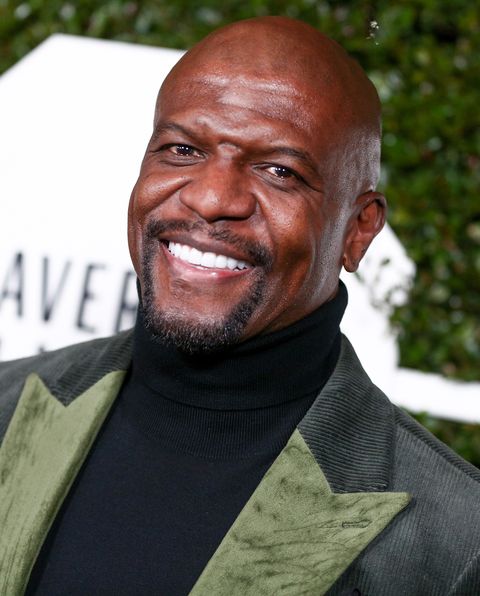 Stop Everything: Terry Crews Is Officially Hosting 'America's Got Talent: The Champions'