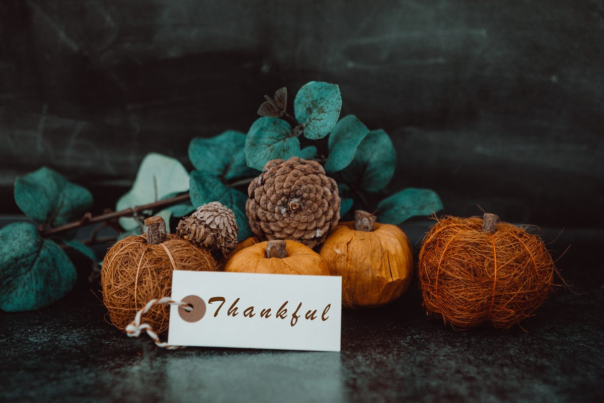 33 Thankful Quotes Best Thank You Quotes And Sayings