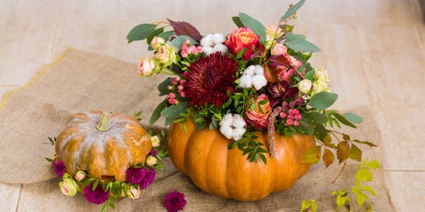 Navigation menu Seedling Care and Nurturing: Upon emerging from the soil, pumpkins growers breath a big sigh of relief. We can close our eyes and almost see a thousand pound fruit nestled amongst lush, green pumpkin .