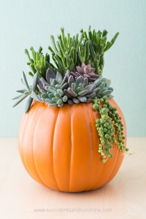 50 Easy Thanksgiving Decorations Cute And Simple Decor Ideas For Thanksgiving 2020